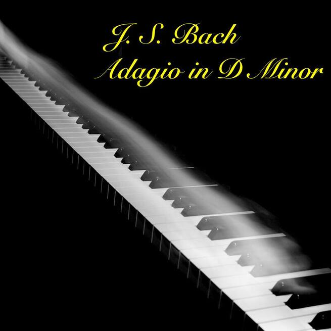 Bach Adagio in D Minor cover